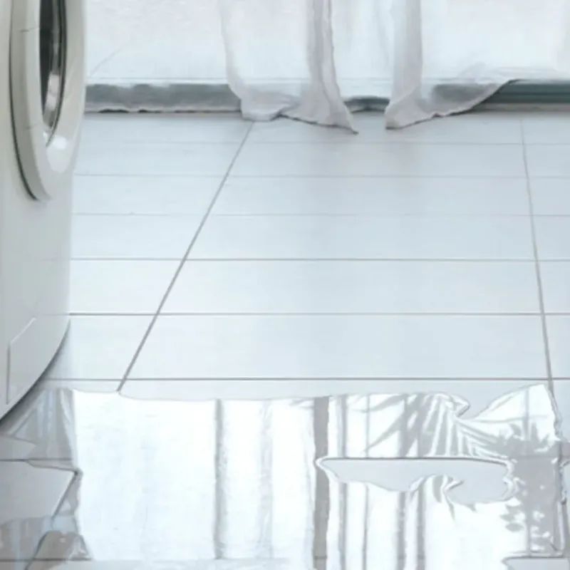 Appliance Leak Cleanup in Stevensville, MI