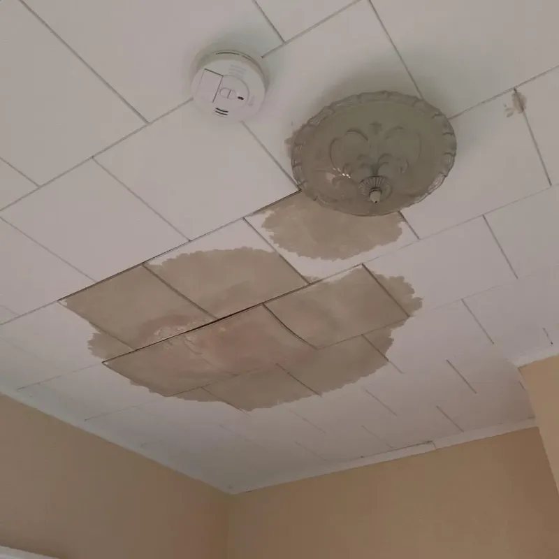 Ceiling Water Damage Repair in Stevensville, MI