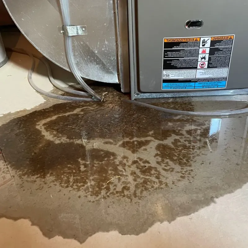 Pipe Burst and Leak Restoration in Stevensville, MI