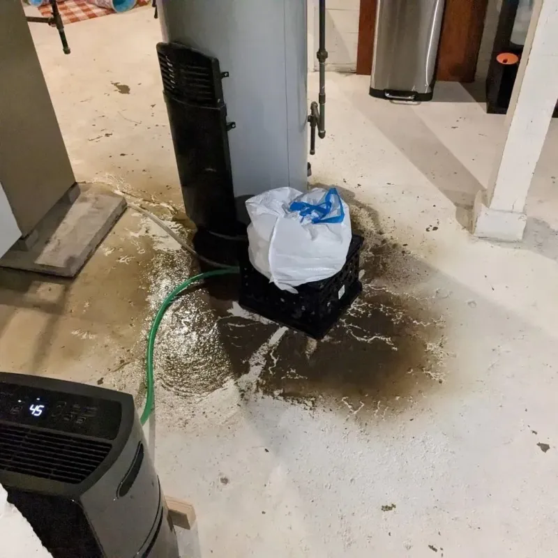 Sewage Backup Cleanup Service in Stevensville, MI